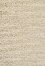 Wilson Fabric Style Broome Color Biscotti